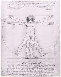 The Vitruvian Man by Leonardo da Vinci